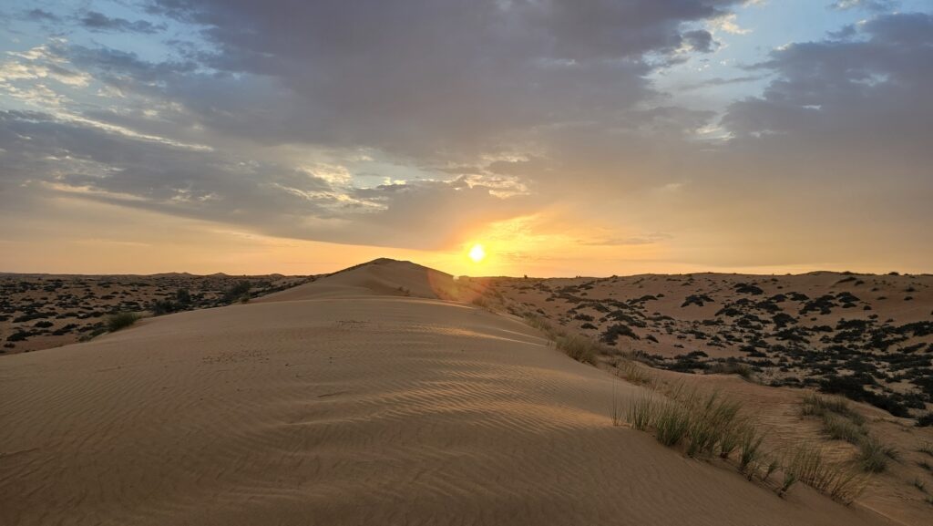 Al Maha Resort