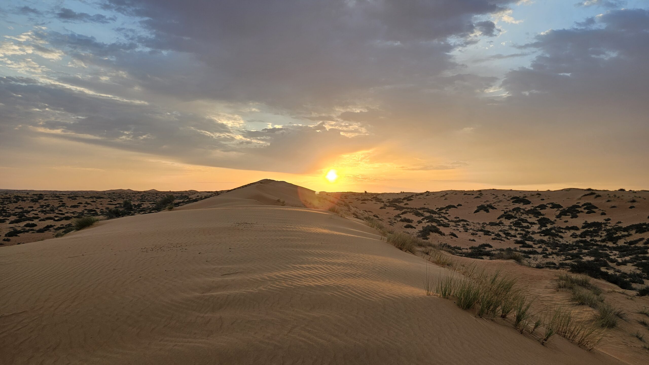 Al Maha Resort