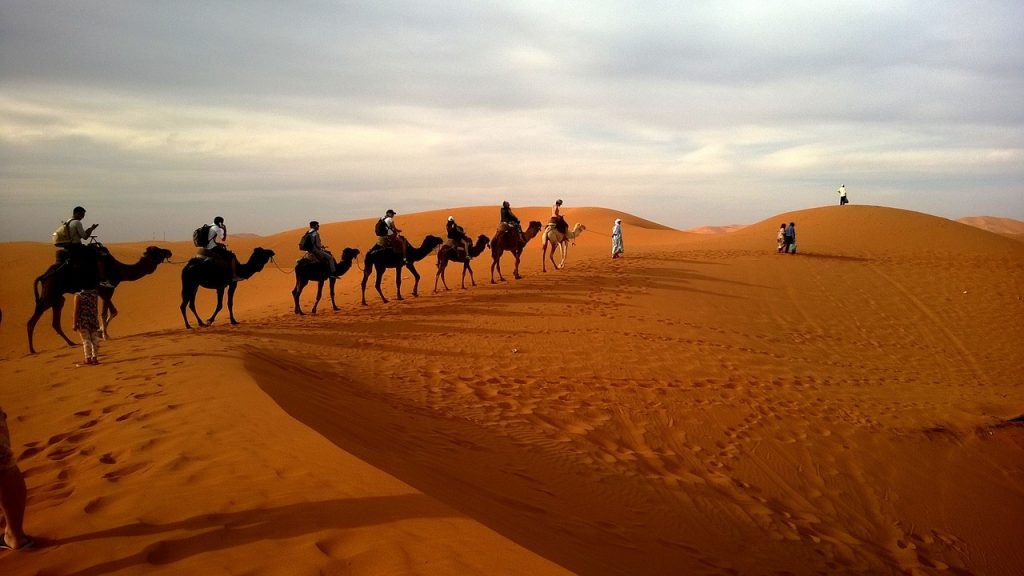 Camel Caravan