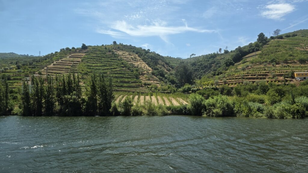 Vineyards on the Duoro